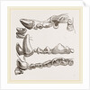 Teeth of Glutton by Anonymous