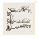 Teeth of Glutton by Anonymous