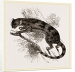 Delundung by Anonymous