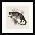 Delundung by Anonymous