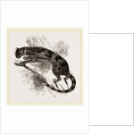 Delundung by Anonymous