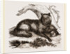 Dusky or Clouded Wolf by Anonymous