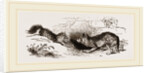 Wolf and Fox by Anonymous
