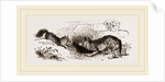Wolf and Fox by Anonymous