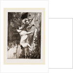 English and Scotch Terriers by Anonymous