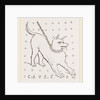 Roman House dog by Anonymous