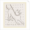 Roman House dog by Anonymous