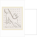 Roman House dog by Anonymous