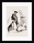 Highland Shepherd and Dog by Anonymous