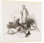 Street Dogs of the East by Anonymous
