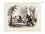 Bear hunting by the Chippewayan Indians by Anonymous