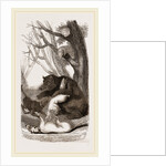 Bear and Dogs by Anonymous