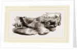 Remains of Skull Scelidotherium by Anonymous