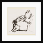 Skeleton of Mylodon robustus by Anonymous