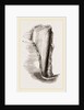 Tooth of Mylodon by Anonymous