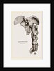 Pelvis and Hind-Leg of Megatherium by Anonymous