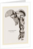 Pelvis and Hind-Leg of Megatherium by Anonymous
