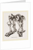 Skeleton of Megatherium by Anonymous