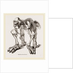 Skeleton of Megatherium by Anonymous