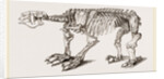 Skeleton of Megatherium by Anonymous