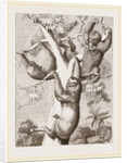 Sloths by Anonymous