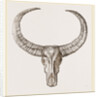 Horns of Arnee by Anonymous
