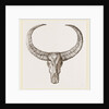 Horns of Arnee by Anonymous
