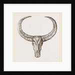 Horns of Arnee by Anonymous