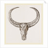 Horns of Arnee by Anonymous