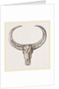 Horns of Arnee by Anonymous