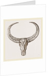 Horns of Arnee by Anonymous