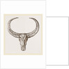 Horns of Arnee by Anonymous