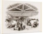 Milking-shed by Anonymous