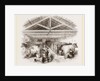 Milking-shed by Anonymous