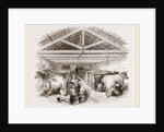Milking-shed by Anonymous