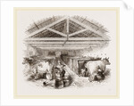 Milking-shed by Anonymous