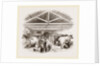 Milking-shed by Anonymous