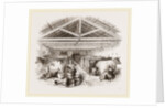 Milking-shed by Anonymous