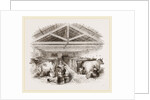 Milking-shed by Anonymous