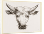 Head of Gyall by Anonymous
