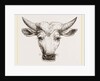 Head of Gyall by Anonymous