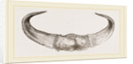 Horns of Gour by Anonymous