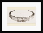Horns of Gour by Anonymous