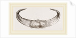 Horns of Gour by Anonymous