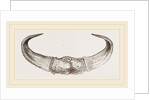 Horns of Gour by Anonymous