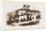 Syrian Cart by Anonymous