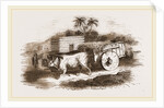Syrian Cart by Anonymous