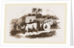 Syrian Cart by Anonymous