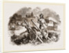 Bullock Carts of the Nimade Tartars by Anonymous