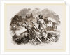 Bullock Carts of the Nimade Tartars by Anonymous